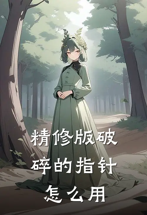 精修版破碎的指针怎么用