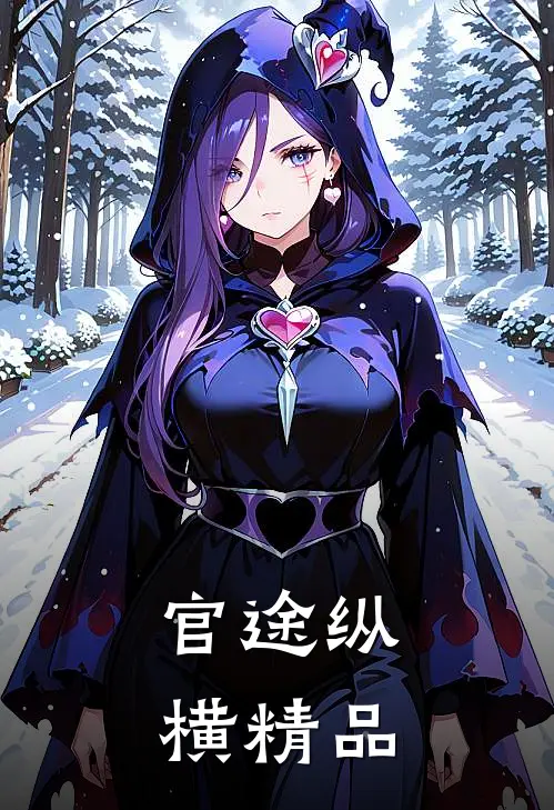 官途纵横精品