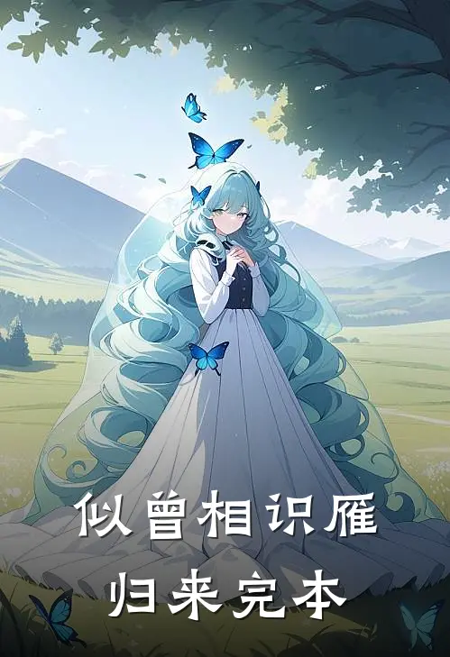 似曾相识雁归来完本