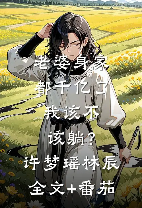 老婆身家都千亿了，我该不该躺？许梦瑶林辰全文+番茄