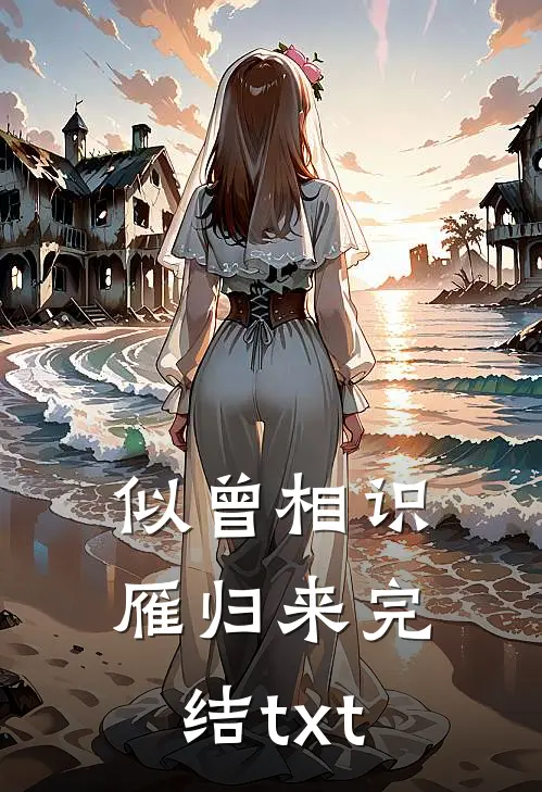 似曾相识雁归来完结txt