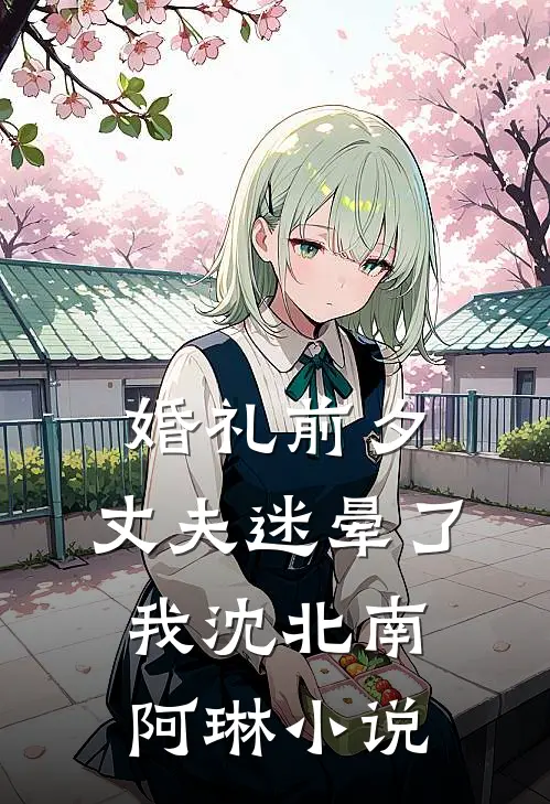 婚礼前夕，丈夫迷晕了我沈北南阿琳小说