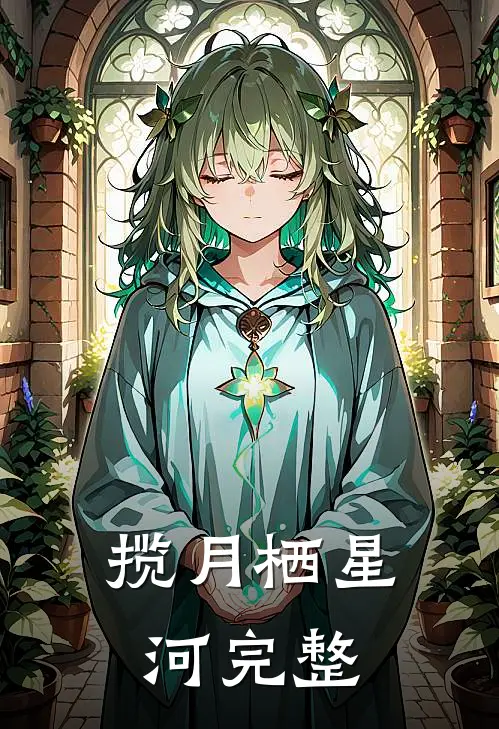 揽月栖星河完整