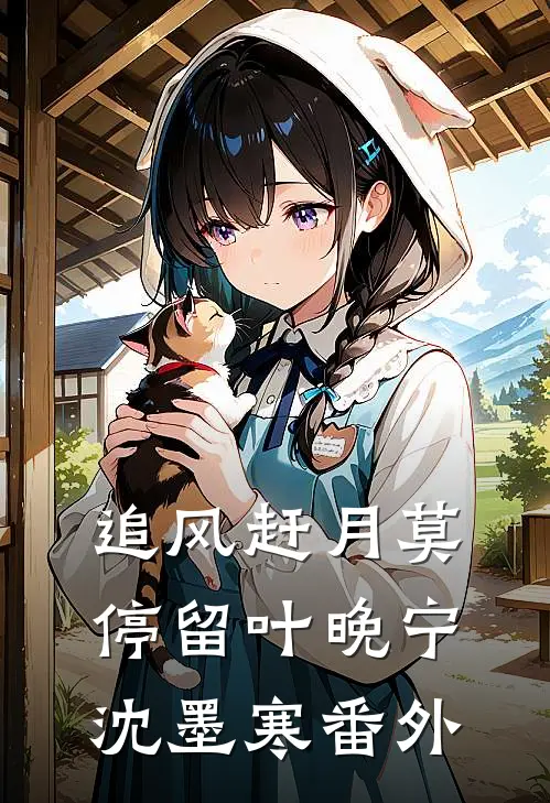 追风赶月莫停留叶晚宁沈墨寒番外
