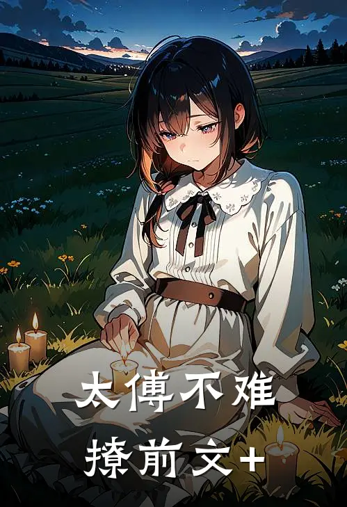 太傅不难撩前文+