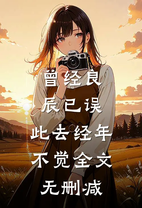 曾经良辰已误，此去经年不觉全文无删减