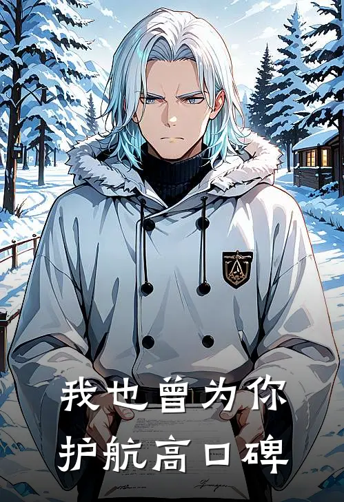 我也曾为你护航高口碑