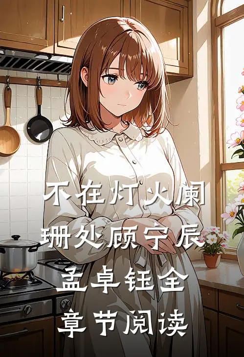 不在灯火阑珊处顾宁辰孟卓钰全章节阅读