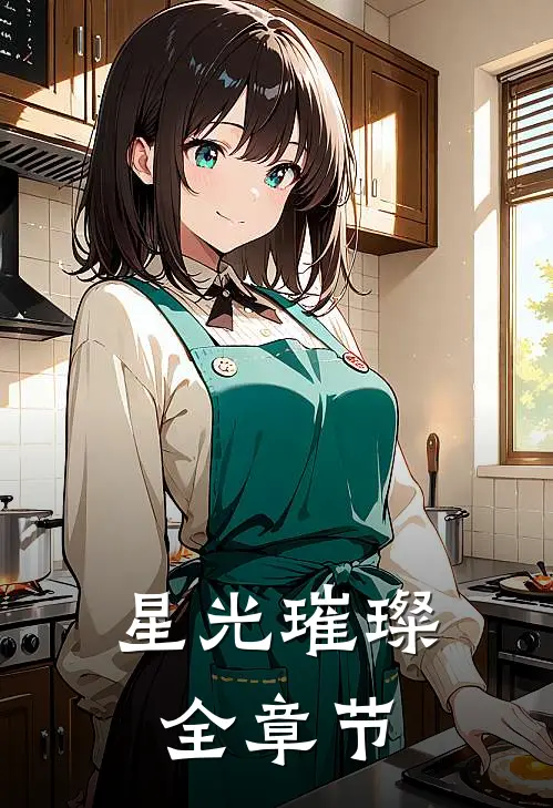 星光璀璨全章节