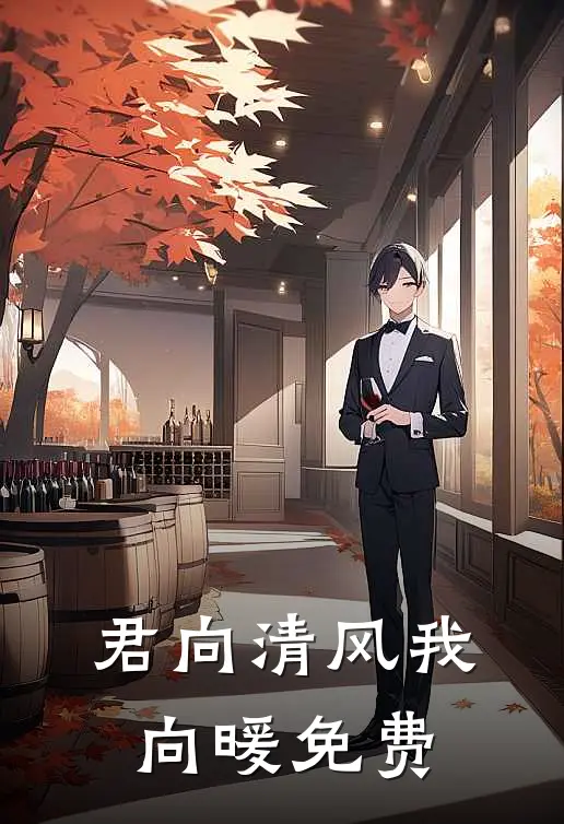 君向清风我向暖免费阅读