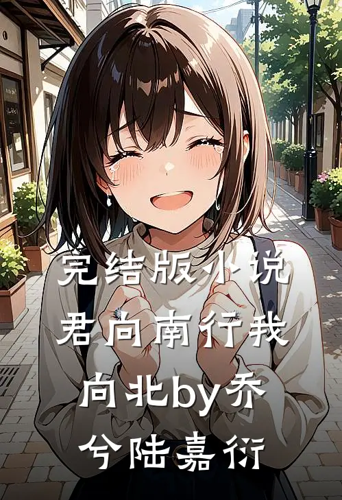 完结版小说君向南行我向北by乔兮陆嘉衍