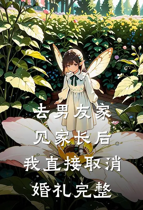 去男友家见家长后，我直接取消婚礼完整