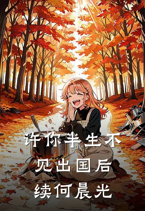 许你半生不见出国后续何晨光