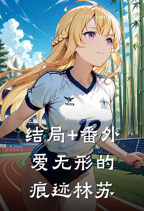 结局+番外爱无形的痕迹林苏