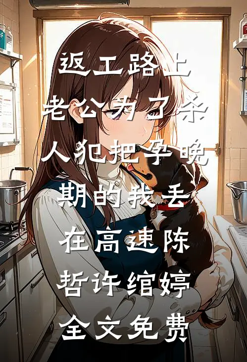 返工路上，老公为了杀人犯把孕晚期的我丢在高速陈哲许绾婷全文免费