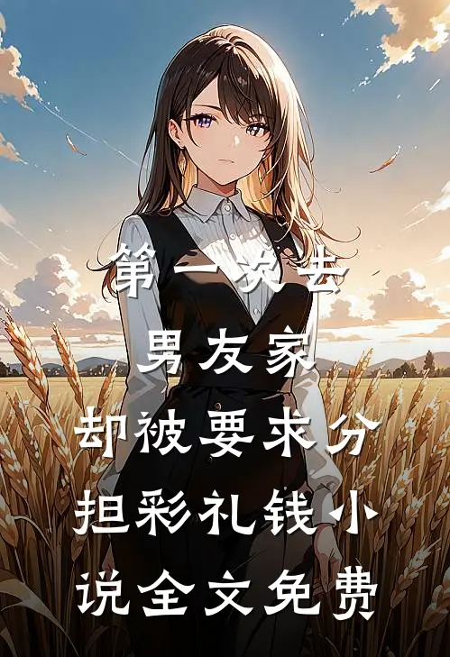 第一次去男友家，却被要求分担彩礼钱小说全文免费