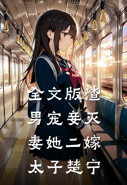 全文版渣男宠妾灭妻她二嫁太子楚宁