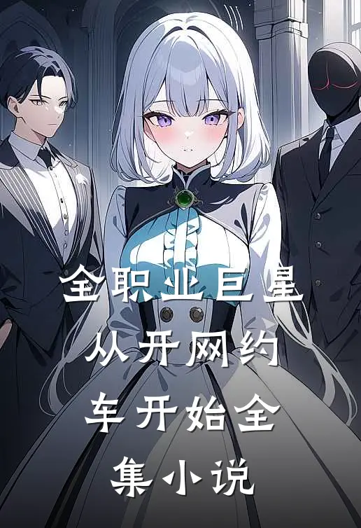 全职业巨星：从开网约车开始全集小说