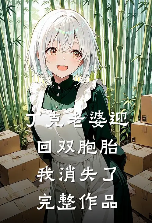 丁克老婆迎回双胞胎，我消失了完整作品