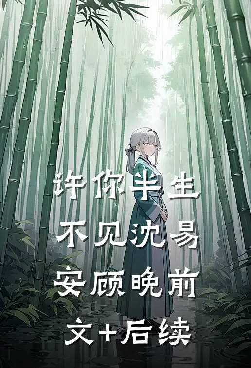 许你半生不见沈易安顾晚前文+后续