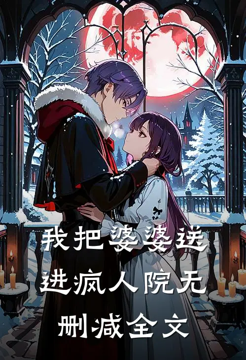我把婆婆送进疯人院无删减全文