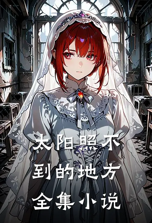 太阳照不到的地方全集小说