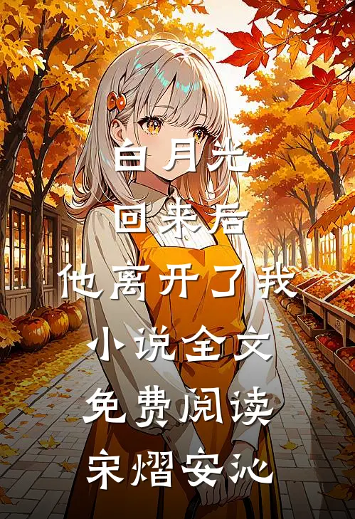 白月光回来后，他离开了我小说全文免费阅读宋熠安沁