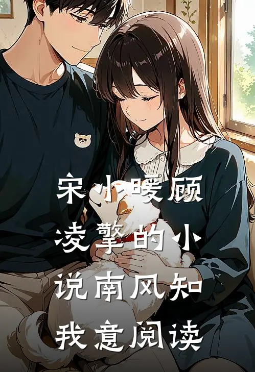 宋小暖顾凌擎的小说南风知我意阅读