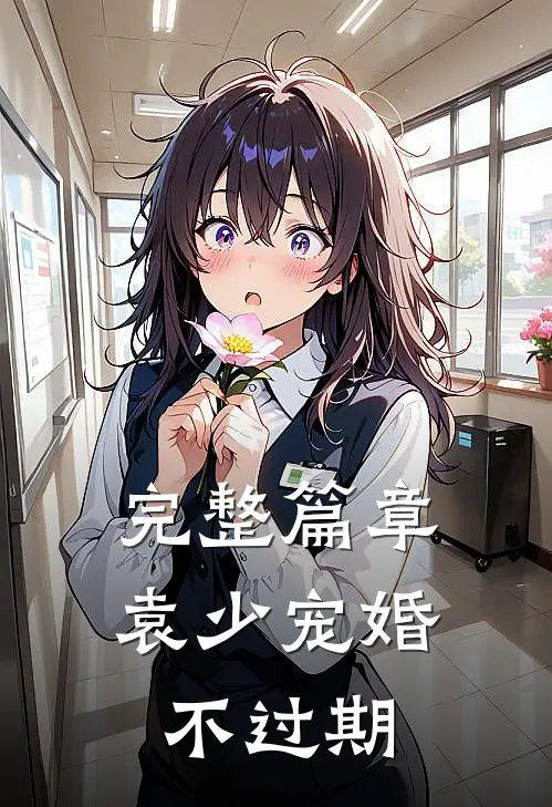 完整篇章袁少宠婚不过期
