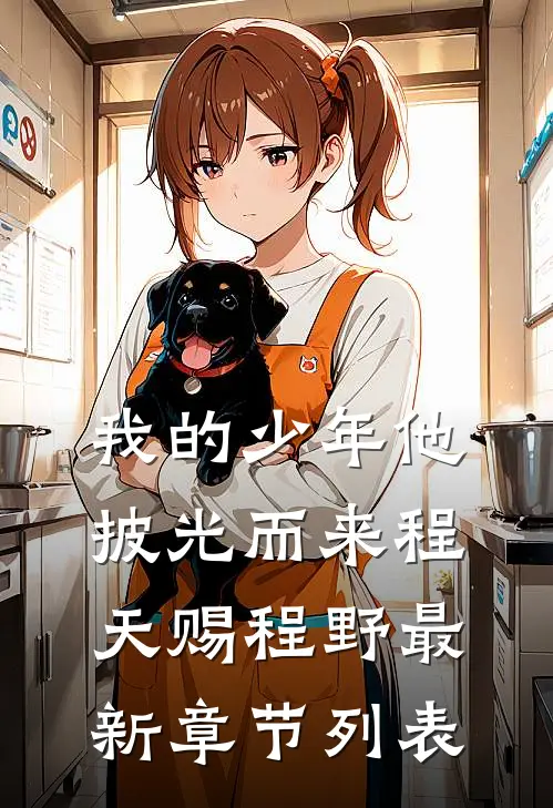 我的少年他披光而来程天赐程野最新章节列表