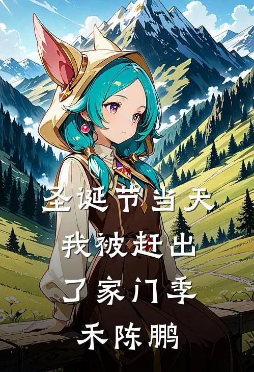 圣诞节当天，我被赶出了家门季禾陈鹏
