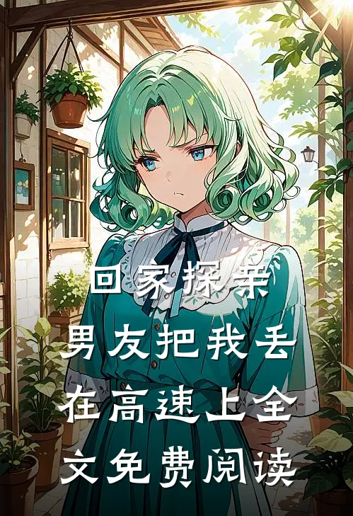 回家探亲，男友把我丢在高速上全文免费阅读