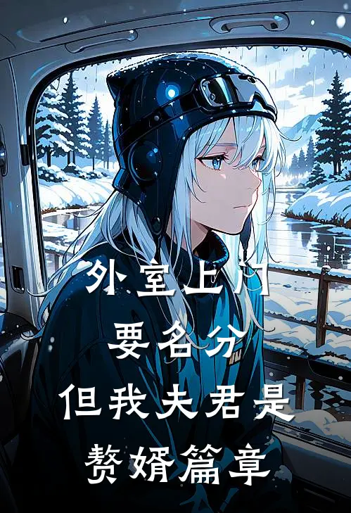 外室上门要名分，但我夫君是赘婿篇章
