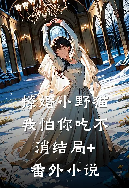 撩婚-小野猫，我怕你吃不消结局+番外小说