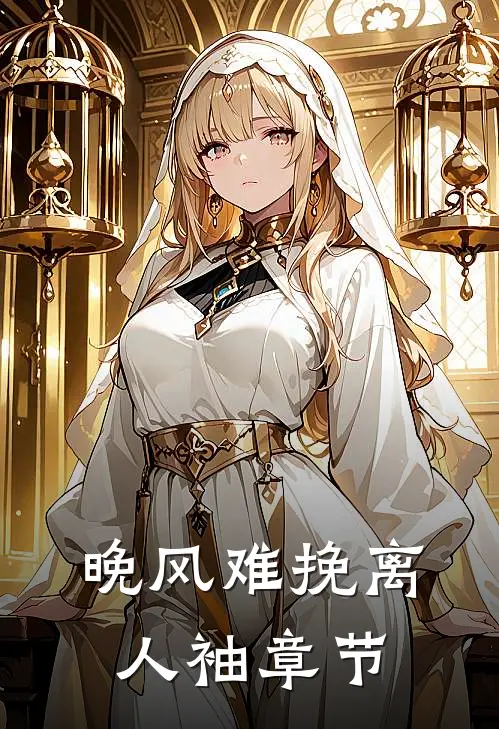 晚风难挽离人袖章节