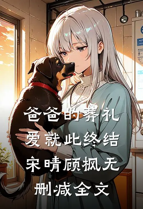 爸爸的葬礼，爱就此终结宋晴顾枫无删减全文