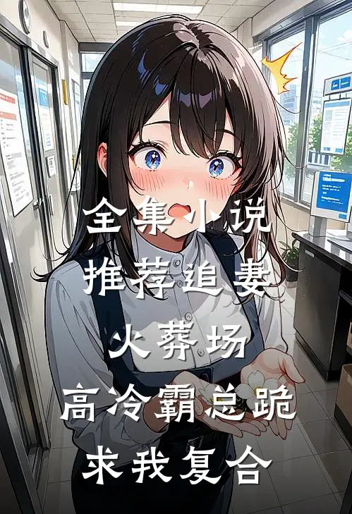 全集小说推荐追妻火葬场：高冷霸总跪求我复合