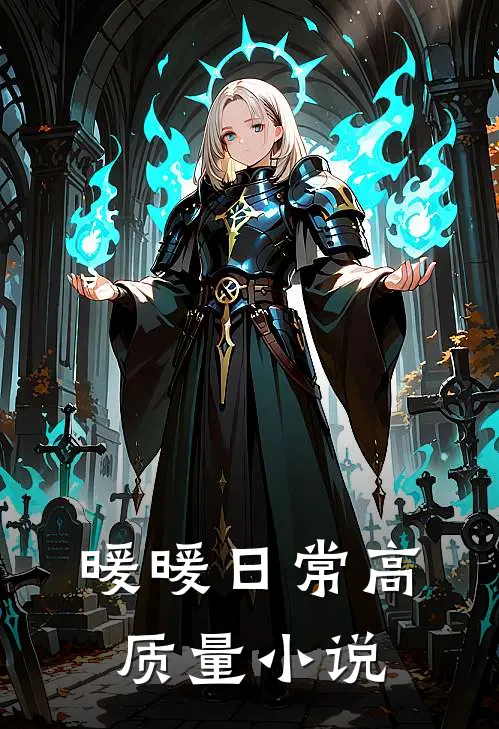 暖暖日常高质量小说