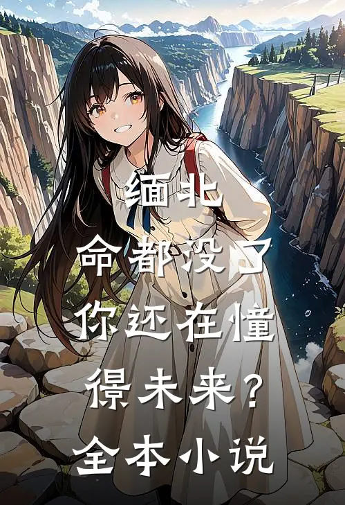 缅北：命都没了，你还在憧憬未来？全本小说
