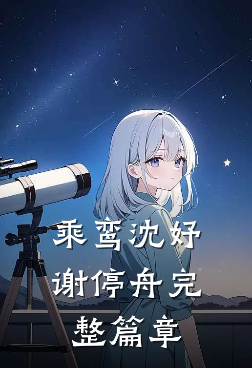 乘鸾沈妤谢停舟完整篇章
