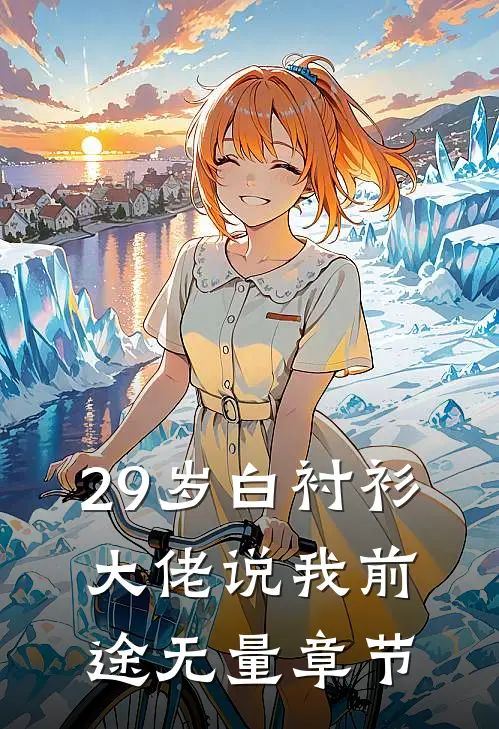 29岁白衬衫，大佬说我前途无量章节