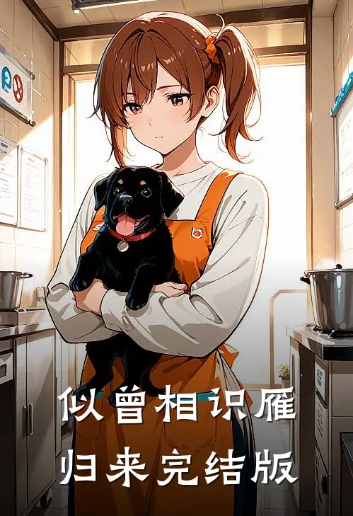 似曾相识雁归来完结版