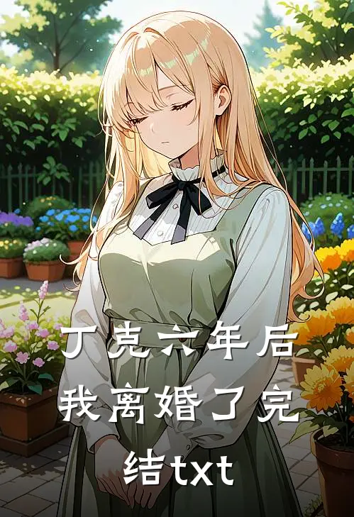 丁克六年后，我离婚了完结txt