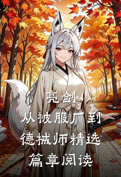 亮剑：从被服厂到德械师精选篇章阅读