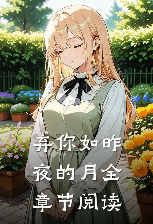 弃你如昨夜的月全章节阅读