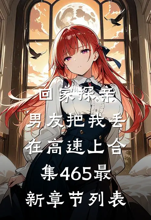 回家探亲，男友把我丢在高速上合集465最新章节列表