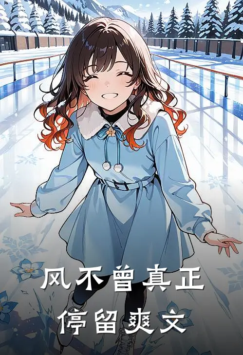 风不曾真正停留爽文