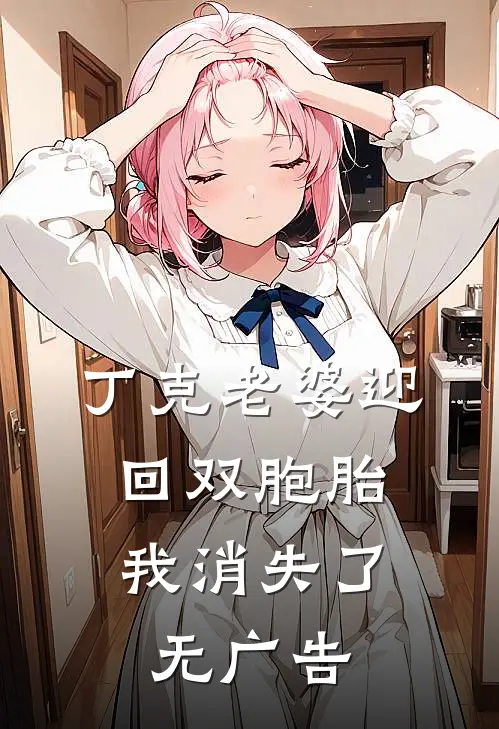 丁克老婆迎回双胞胎，我消失了无广告