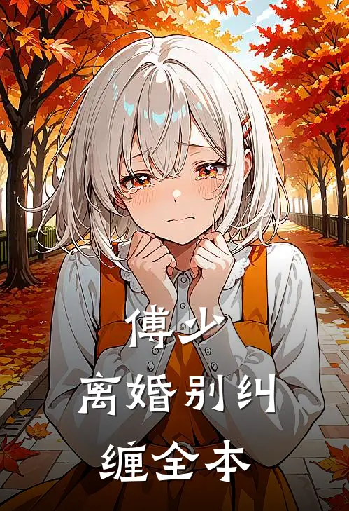 傅少，离婚别纠缠全本