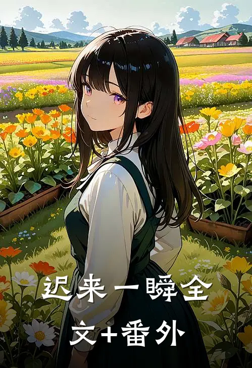 迟来一瞬全文+番外
